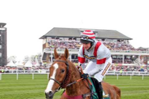Dream Alliance who won Welsh Grand National against the odds after being brought up on allotment..