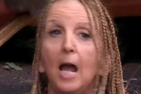 Gillian McKeith leaves I’m a Celeb fans gobsmacked as she reveals extent of contraband smuggled..