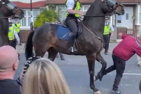 Fans all say same thing as West Ham fan is taken out by a POLICE HORSE at thrilling Crystal Palace..