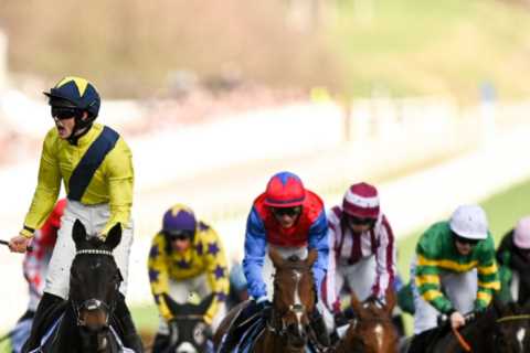 Willie Mullins suffers double tragedy as two horses belonging to same owner sadly die just days..