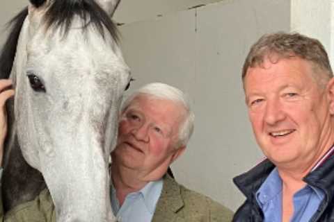 Punters ‘lost for words’ as trainer and owner’s bitter row takes shock twist on social media