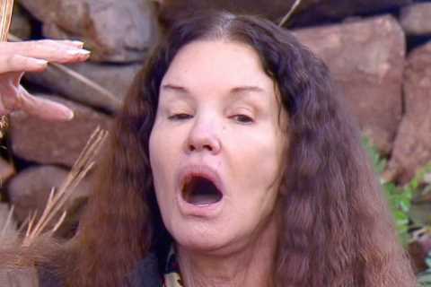 Inside Janice Dickinson’s shock exit from I’m A Celeb WhatsApp group after a string of cast bust-ups