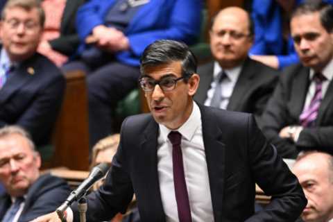 We need Brexit bonfire of EU laws to help bring prices down, says Rees-Mogg as he blasts Rishi..