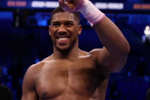 Tyson Fury hopes Anthony Joshua knocks out ‘little b****’ Deontay Wilder… but fears Brit rival will ..
