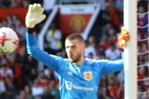 Fans all say the same thing as under-fire Man Utd keeper David De Gea WINS Premier League Golden..