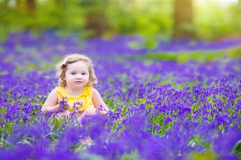 Four tips on how to enjoy British bluebells and make a great value day out