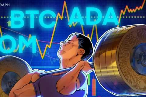 Bitcoin’s recovery may trigger buying in these 4 altcoins