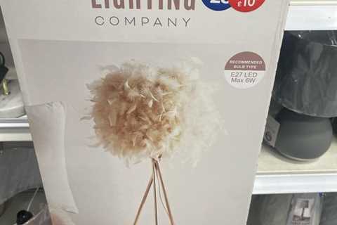 B&amp;M shoppers rush to buy ‘stunning’ homeware essential scanning at tills for £10 instead of £28