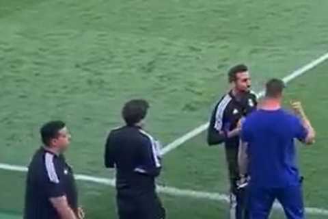 Watch Fernando Torres get sent off during U19 game for shoving rival coach – who is his former..
