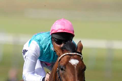 The £80million racehorses missing from Forbes’ richest athlete list