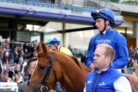 Racing tragedy as Creative Force suffers fatal injury with punters ‘in absolute tears’ over death..