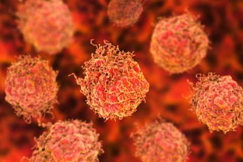 Men who gain weight at critical age are more at risk of prostate cancer – here’s when you need to..
