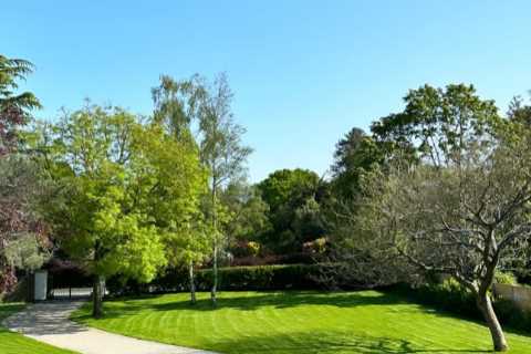 Towie’s Ella Rae Wise shows off huge garden that looks like a park at her new Essex home