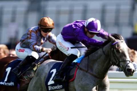 Some owners won’t give me horses because I’m a girl – sexism still exists in racing, says top..