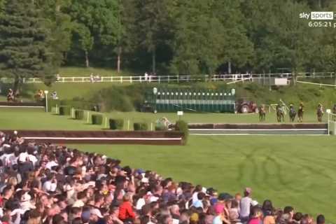 World’s longest horse race descends into total chaos and has to be STOPPED as thousands of bemused..