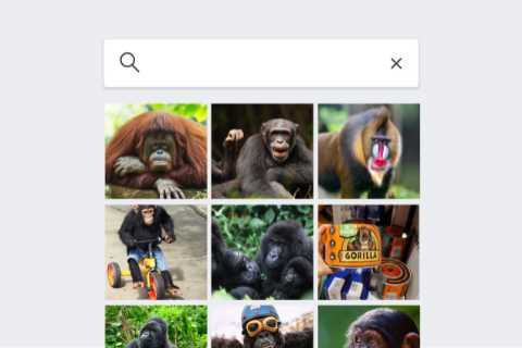 Google’s Photo App Still Can’t Find Gorillas. And Neither Can Apple’s.