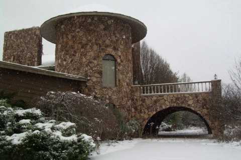 Mike Tyson’s £890k abandoned mansion had tiger cages and basketball court before conversion to..