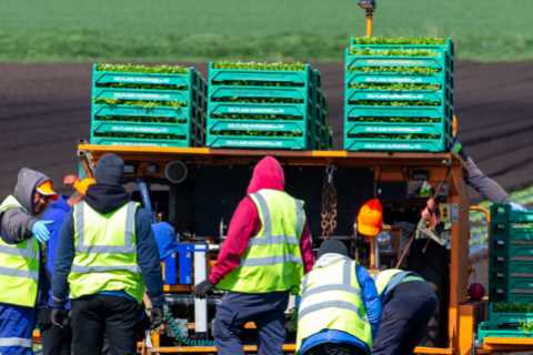 Mass immigration has not made UK more productive, admits Government’s top expert