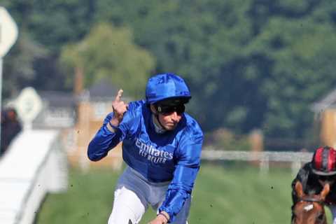 Templegate kicks off brand new tipping column with huge 16-1 pick he’s certain can win Saturday’s..