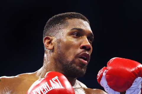 Anthony Joshua does NOT have the ability to beat ‘reckless’ Deontay Wilder in fight, says British..