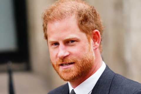 Prince Harry LOSES latest bid over security after being slammed for trying to use Met Police as..