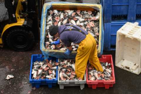 Foreign fishermen will be invited to man British boats amid major skills shortage