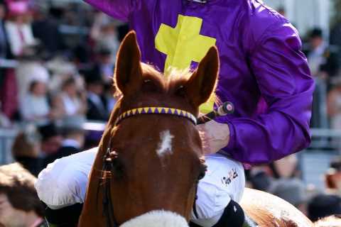 Iconic Royal Ascot winner Rite Of Passage dies aged 19 after unusual but brilliant career