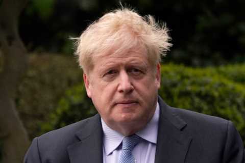 Boris Johnson throws Covid grenade at Rishi Sunak by demanding his pandemic texts are handed to..