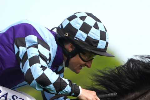 Epsom Derby 2023 runner-by-runner guide, Templegate’s tip and 1-2-3 prediction for £1.5million..