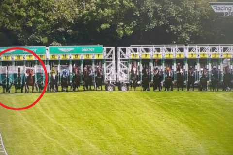 Punters slam Epsom ‘disgrace’ as some stalls appear to open before others in race