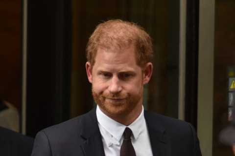 Prince Harry was armed only with vague suspicions and his usual tedious grudges at High Court