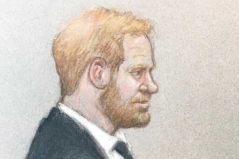 Prince Harry set for another bombshell day in court after being accused of veering into the ‘realm..