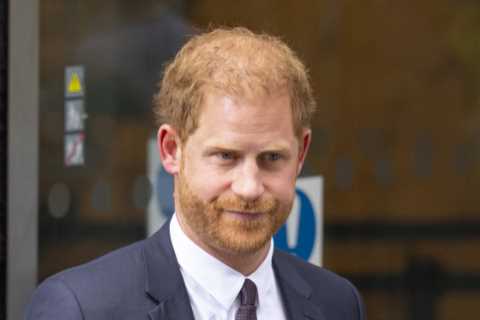 Sheepish Prince Harry was rattled and mumbling in court room showdown
