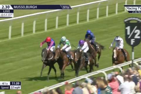 Jockey banned for 14 days after winning race as sport reaches boiling point over massive..