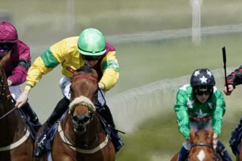 Punters slam ‘amateurish’ mistake at Brighton with FOUR non-runners in field of six just 30 minutes ..