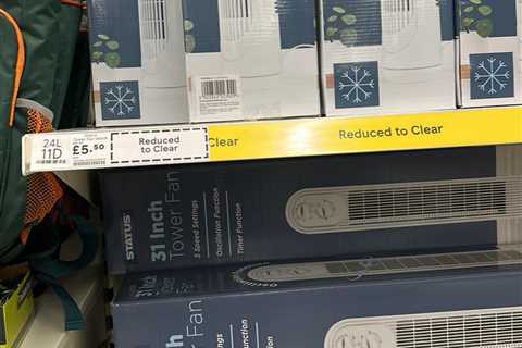 Tesco shoppers rush to buy bargain hot weather and heatwave must-have scanning for £5.50 at the..