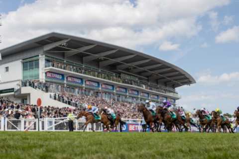 Punters have had a rough week with Epsom stalls farce… but they enjoyed themselves when hi-jacking..