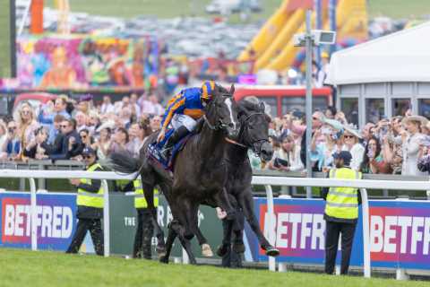 Matt Chapman: Auguste Rodin or Ace Impact… who is the Derby daddy?