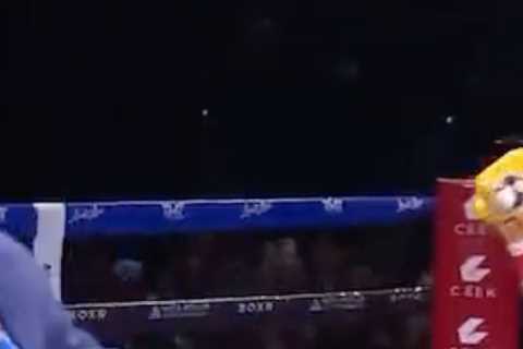 Conor McGregor leads fans reacting to insane brawl at Floyd Mayweather vs John Gotti III as over 30 ..
