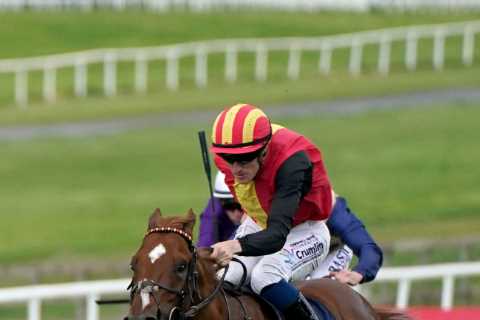 Leading Australian owner apologises after HUGE backlash to ‘cruel’ video criticising Irish trainer..