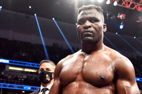 Ex-UFC champ Francis Ngannou in talks to fight Tyson Fury’s heavyweight rival as he gives update on ..