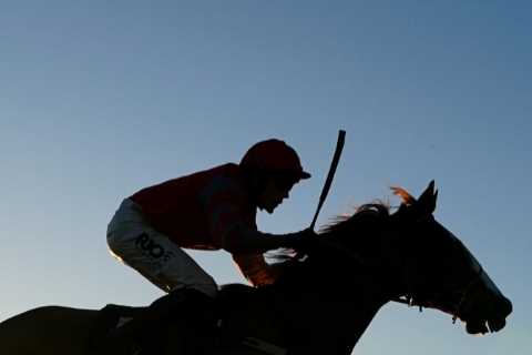 Popular jumps trainer quits after 18 years to become horse dentist saying he has been ‘priced out’..