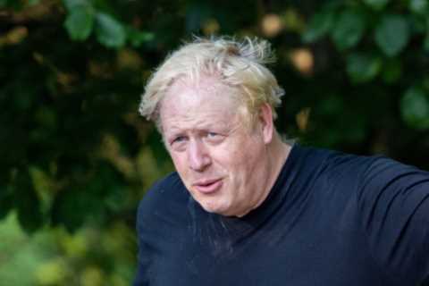 Boris Johnson ‘calls off the dogs’ and urges his supporters not to vote against banning him from..