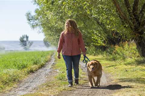 From changing your dog’s name to a parrot let loose – your pet queries answered