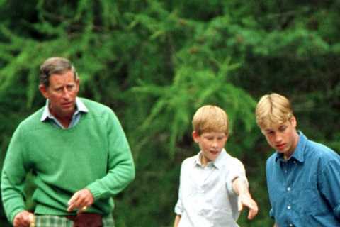 King Charles ‘offers olive branch’ to Prince Harry by posting photo of him on Father’s Day
