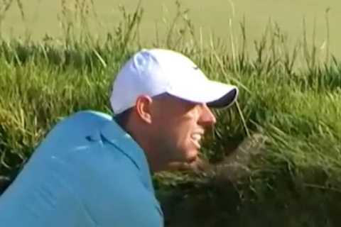 Golf fans hit back at claims Rory McIlroy was robbed of US Open title in rules breach as they spot..