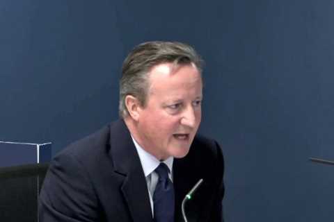 David Cameron admits his government made a mistake by focusing on flu in pandemic planning