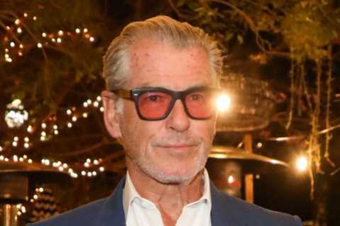 Man arrested as he breaks into Pierce Brosnan’s property to clean up after really disgusting act
