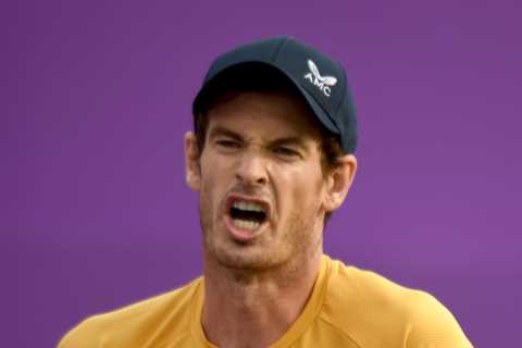 Andy Murray’s family fume as Brit hero is LEFT OUT of Wimbledon’s painting of 15 champions past and ..