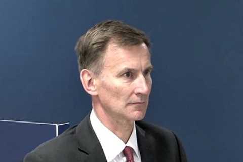 Ministers could have ordered to turn off intensive care beds to save lives during pandemic, Covid..